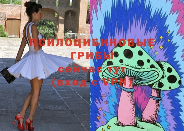 MDMA Premium VHQ Беломорск