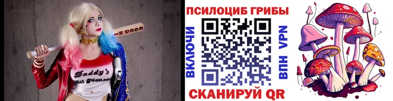 Псилоцибиновые грибы Cubensis  Окуловка 